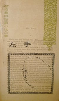 书籍 左手的封面