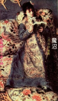 书籍 魔沼的封面