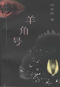 书籍 羊角号的封面