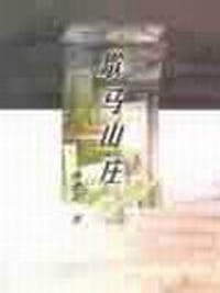 书籍 歇马山庄的封面