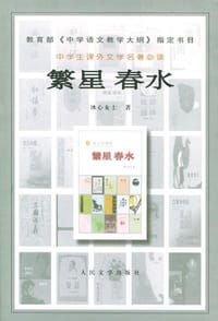 书籍 繁星春水的封面