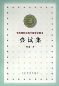 书籍 尝试集的封面