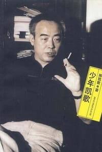 书籍 少年凯歌的封面