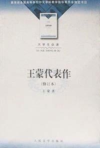 书籍 王蒙代表作的封面