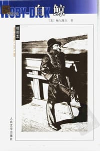 书籍 白鲸的封面