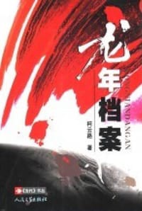 书籍 龙年档案的封面