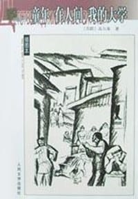 书籍 童年 在人间 我的大学的封面