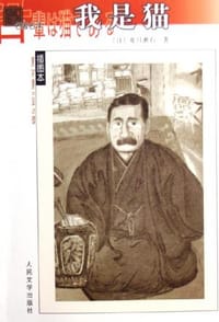 书籍 我是猫的封面