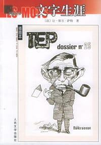 书籍 文字生涯的封面