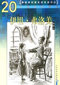 书籍 伊坦·弗洛美的封面