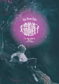 书籍 失窃的孩子的封面