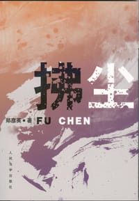 书籍 拂尘的封面