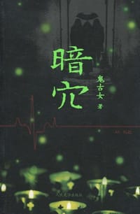 书籍 暗穴的封面