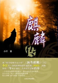 书籍 麒麟传的封面