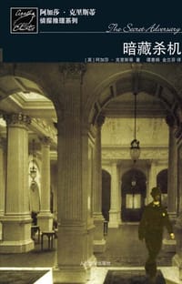 书籍 暗藏杀机的封面