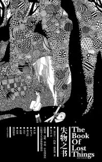 书籍 失物之书的封面