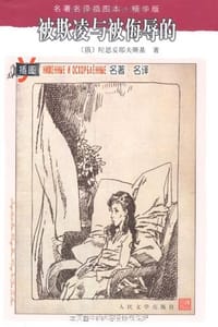 书籍 被欺凌与被侮辱的的封面