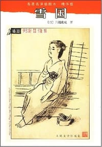 书籍 雪国的封面