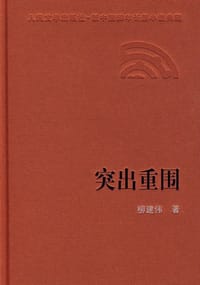 书籍 突出重围的封面
