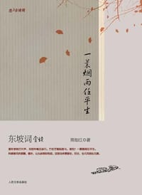 一蓑烟雨任平生 - 陈如江