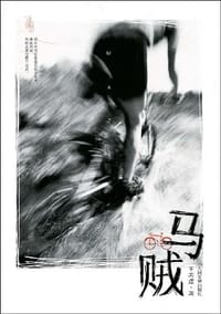 书籍 马贼的封面