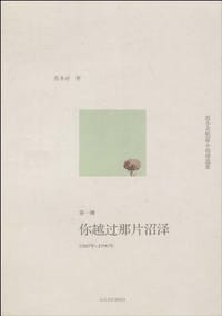书籍 你越过那片沼泽的封面