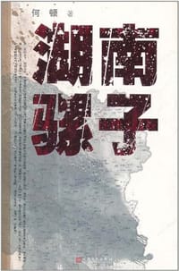 书籍 湖南骡子的封面