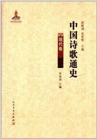 书籍 中国诗歌通史的封面