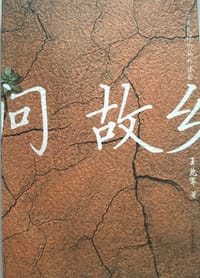 书籍 问故乡的封面