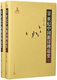 20世纪中国新诗理论史