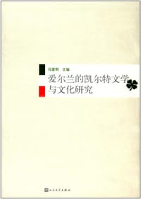 书籍 爱尔兰的凯尔特文学与文化研究的封面