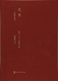 书籍 荒原的封面