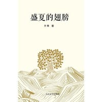 书籍 盛夏的翅膀的封面