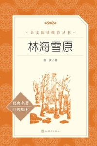 书籍 林海雪原的封面