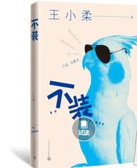 书籍 不装的封面