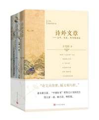 书籍 诗外文章的封面