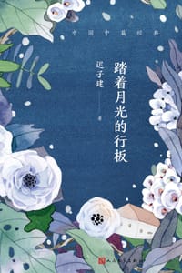 踏着月光的行板 - 迟子建