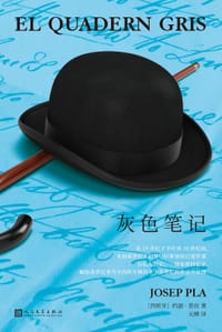 书籍 灰色笔记的封面