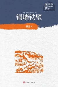 书籍 铜墙铁壁的封面