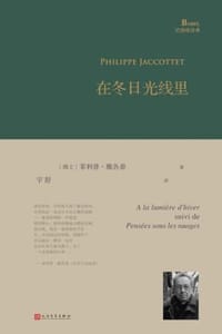 在冬日光线里