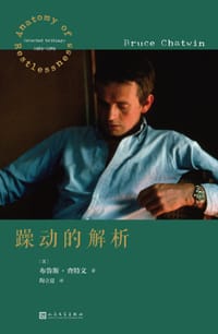 躁动的解析 - [英]布鲁斯·查特文