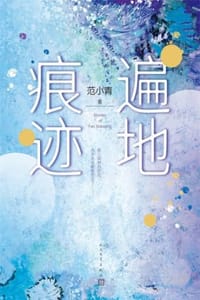 书籍 遍地痕迹的封面