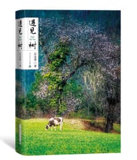 遇见树