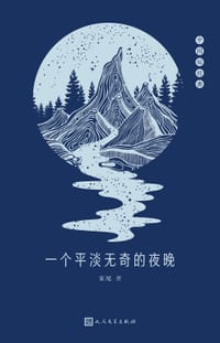 一个平淡无奇的夜晚