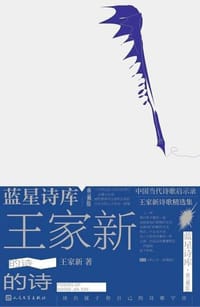 书籍 王家新的诗的封面