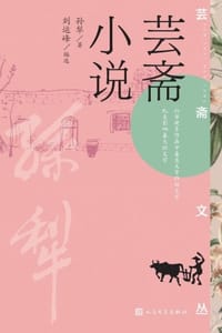 芸斋小说