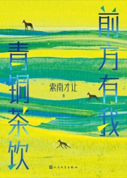 前方有我青铜茶饮