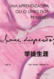 学徒生涯