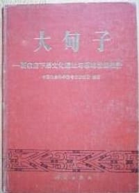 书籍 大甸子的封面