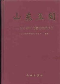 山东王因